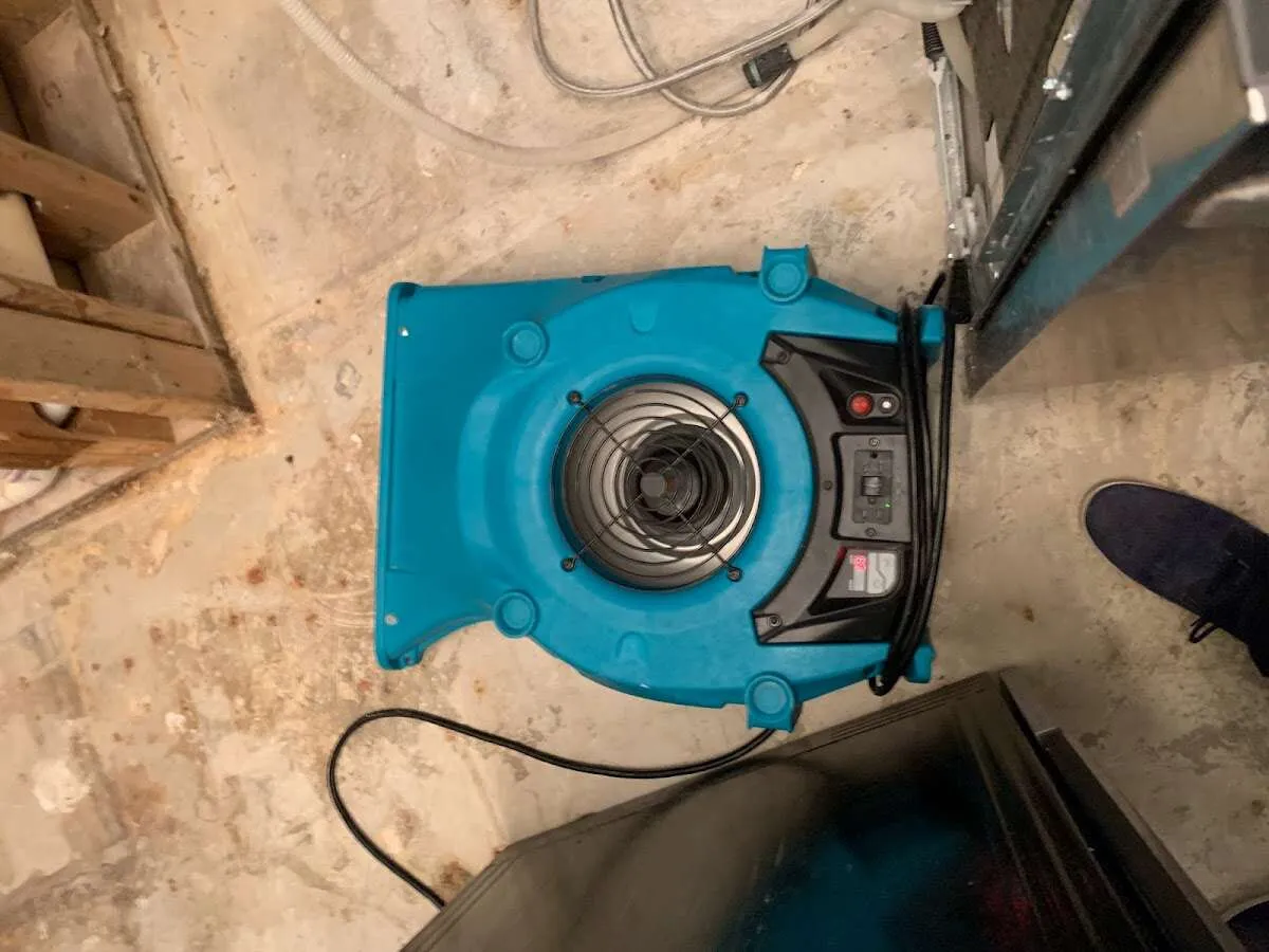 Air mover drying equipment for Mold Remediation & Removal in Elsmere